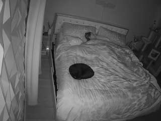 voyeurcam-whitneyoc-01