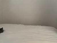 Heey! Mijn "naam" is Sol...Ik hou heel erg van natuur...Ik ben heel spontaan vrouw, vrolijk , aardig en hou van heel veel lol maken!Nou, als je hou van goeie vies dan ben je schatje op goeie adres! meld je aan, en laat alles gebeuren!! Dikke kusjes!